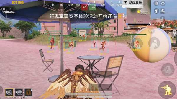 和平精英辅助得类型分为那些